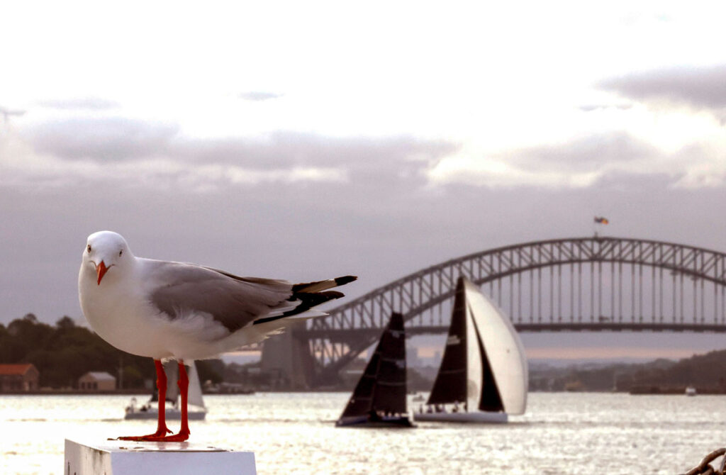 CEA Student of the Year Awards 2025-16